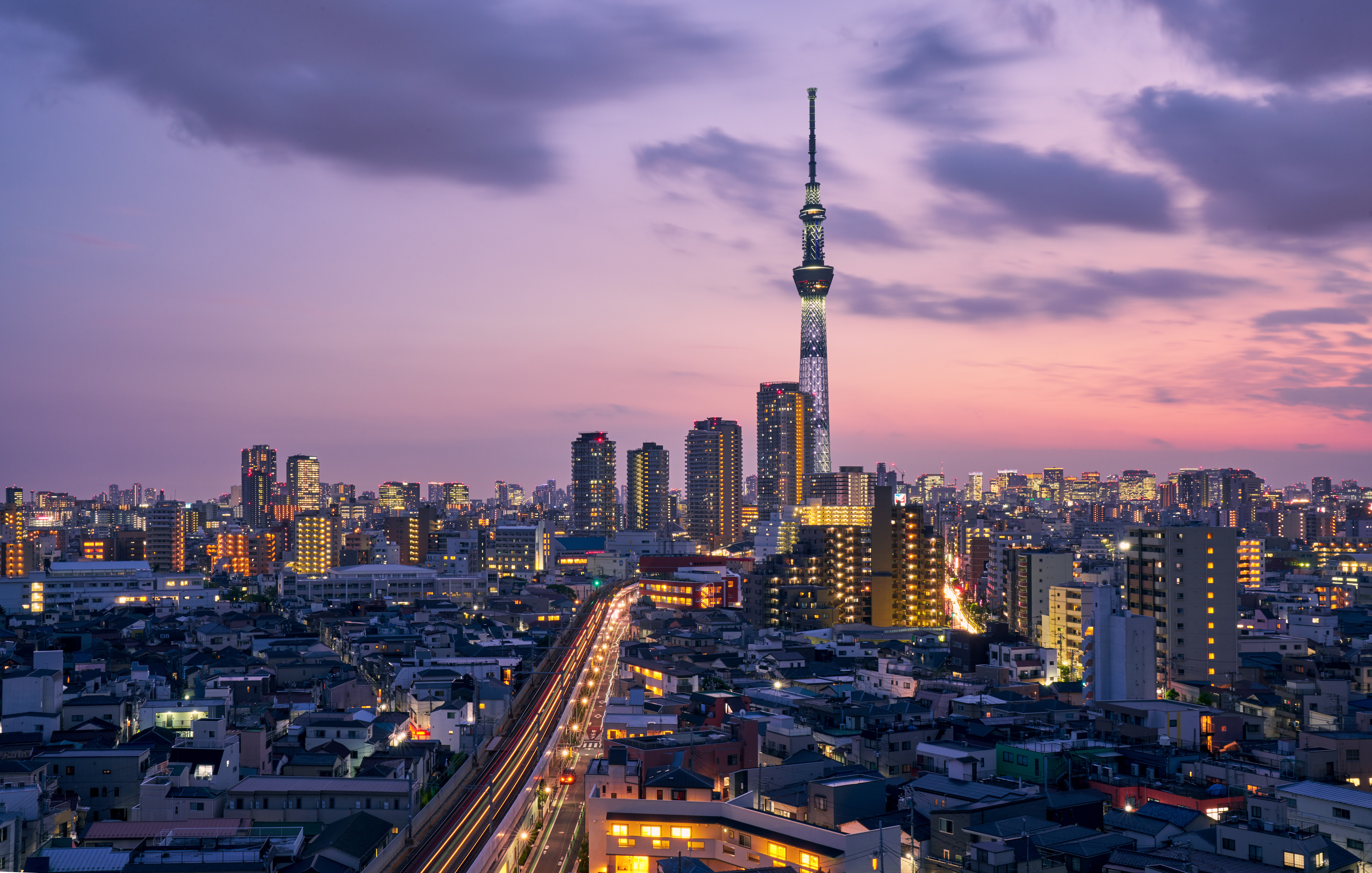 TOKYO SKYTREE and Tokyo cityscape